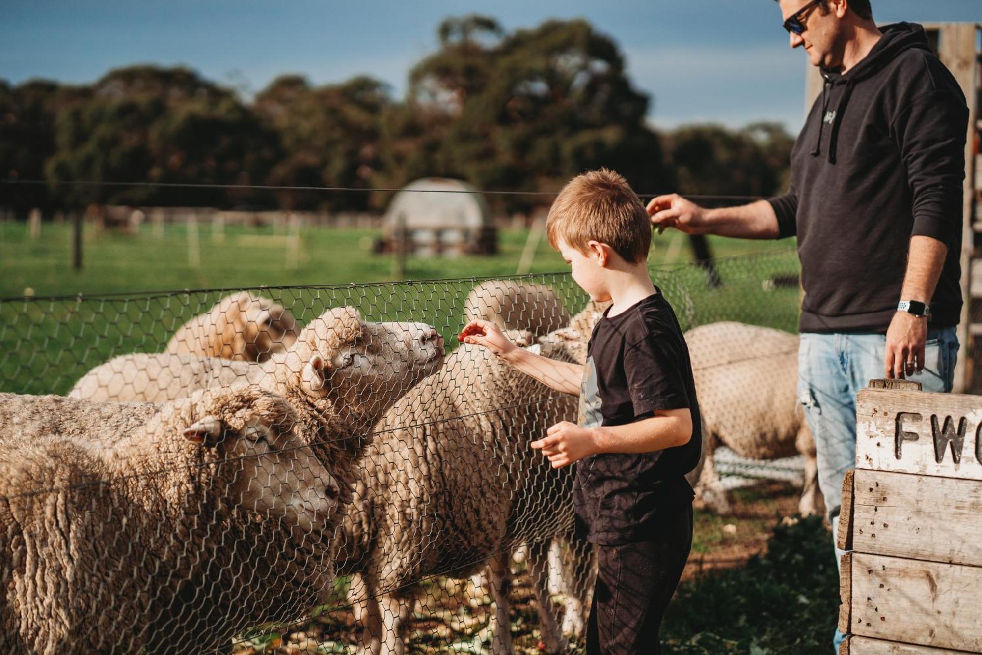 Freshwater Creek Cottages & Farm Stay Torquay Eksteriør billede