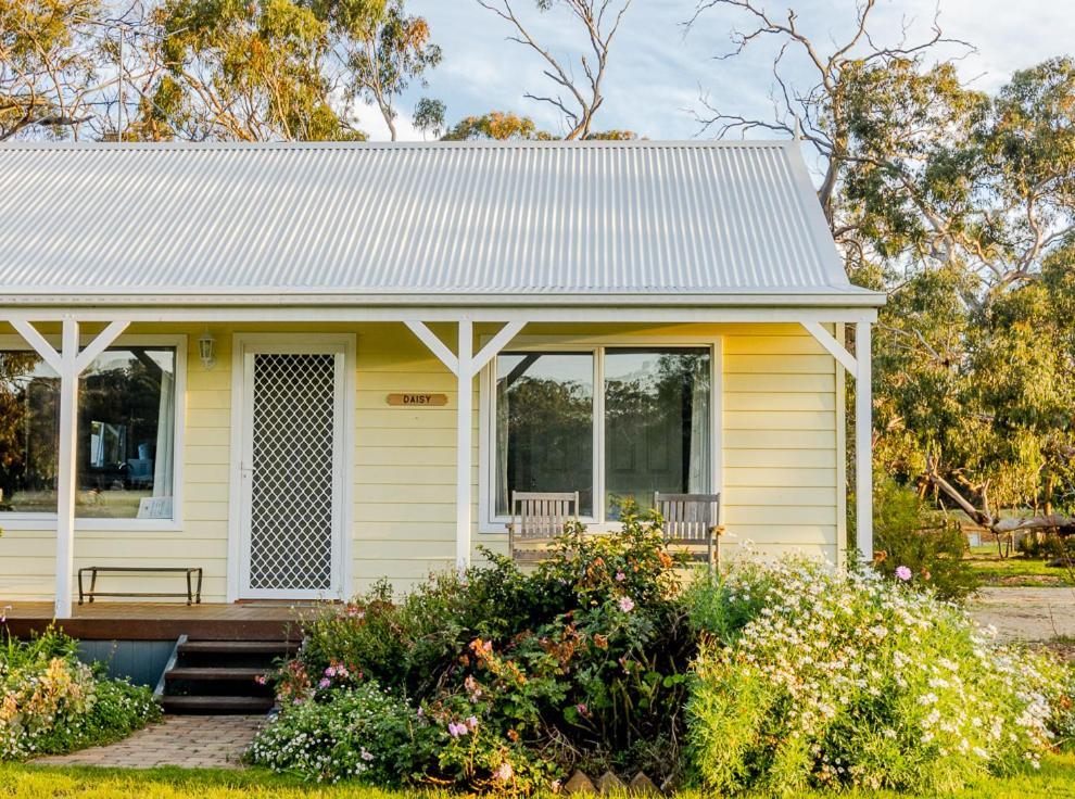 Freshwater Creek Cottages & Farm Stay Torquay Eksteriør billede