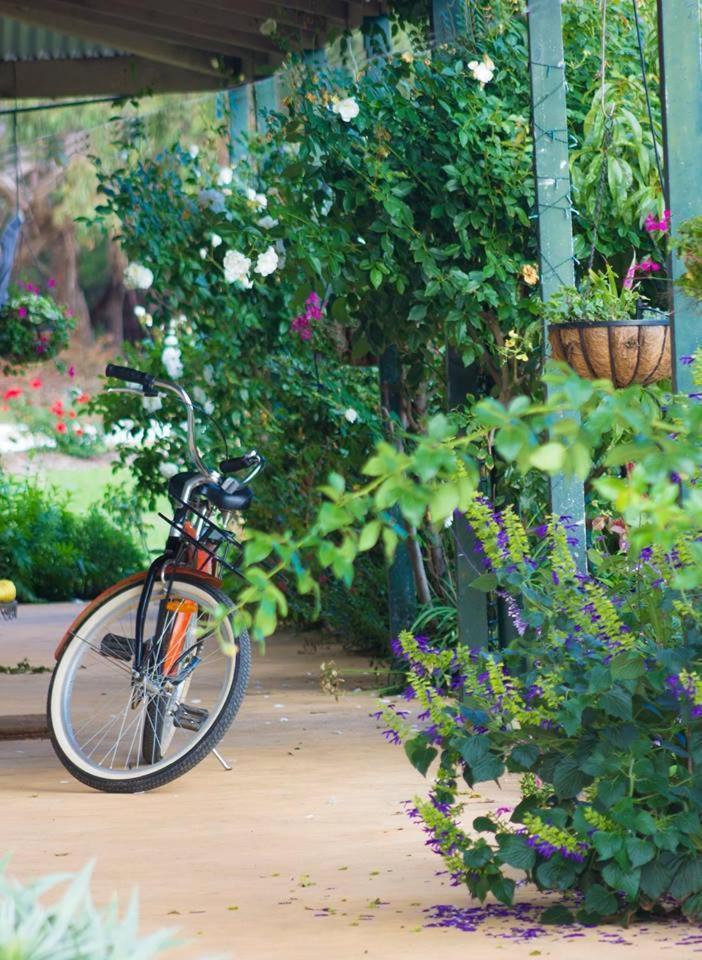Freshwater Creek Cottages & Farm Stay Torquay Eksteriør billede