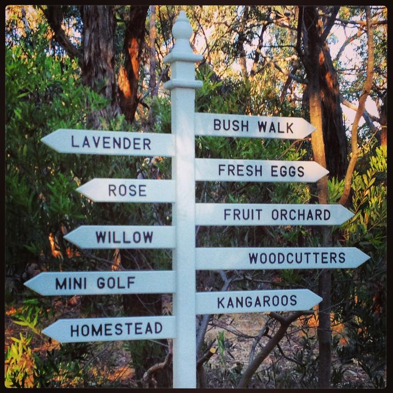 Freshwater Creek Cottages & Farm Stay Torquay Eksteriør billede
